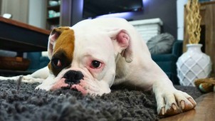 Ezért legyen olyan lakásbiztosításod, ami akkor is fizet, ha beüt a krach