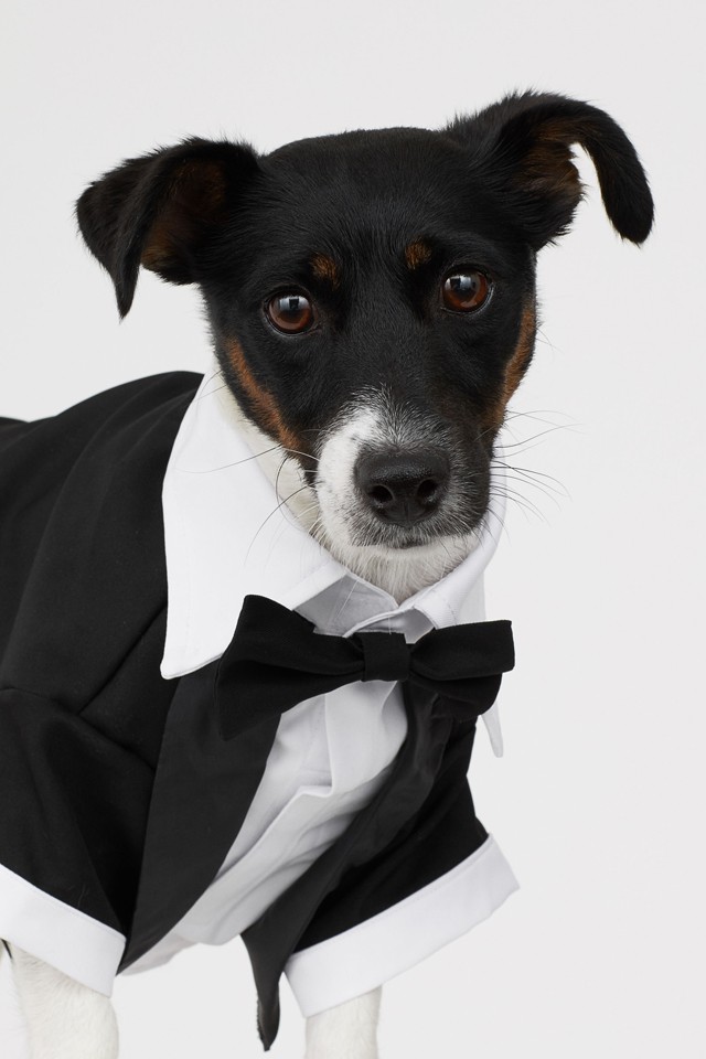 Szmoking H&M 3995 Ft