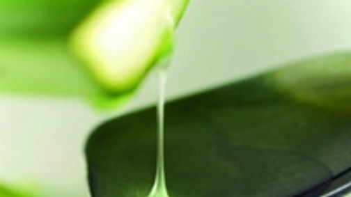 Bizarr: Szépülj csiganyálkával!