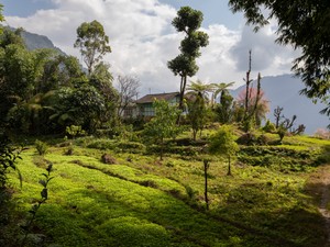 A világ első organikus állama