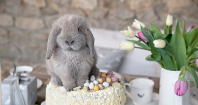 Nyuszik mindenhol: íme a legédesebb húsvéti dekorációk