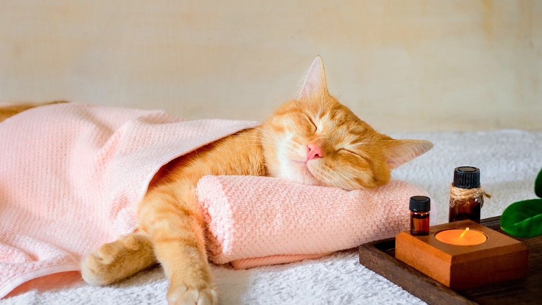 Az aromaterápia eszköz, nem gyógymód, de hatékony, ezért érdemes kipróbálni a mentális egészségre gyakorolt jótékony hatásai miatt