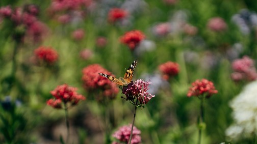 Csodás helyen, egy városi oázisban próbálhattuk ki a Samsung legújabb okos eszközeit