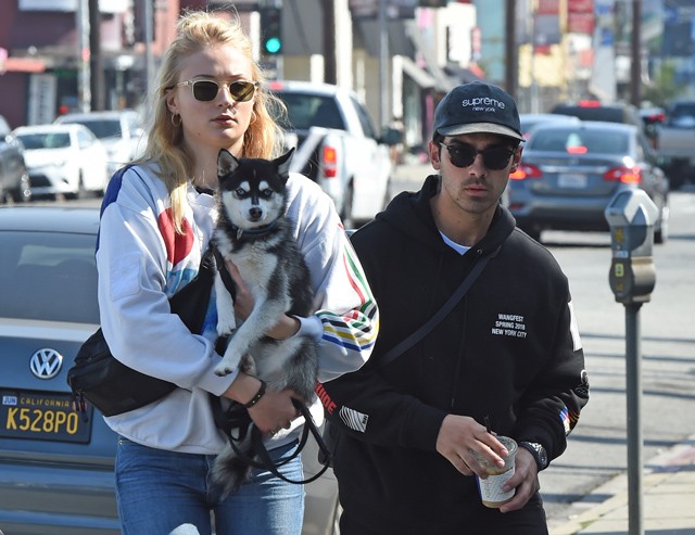 Sophie Turner és Joe Jonas a közös kutyájukkal