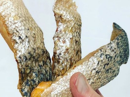 Hogy micsoda? A halbőr lesz a jövő anyaga!