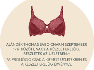 Egy kis divattöri: Így fejlődött a Triumph legikonikusabb kollekciója!