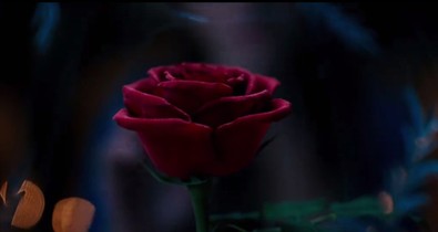 Videó! Itt az első kép Emma Watsonról A szépség és a szörnyetegből!