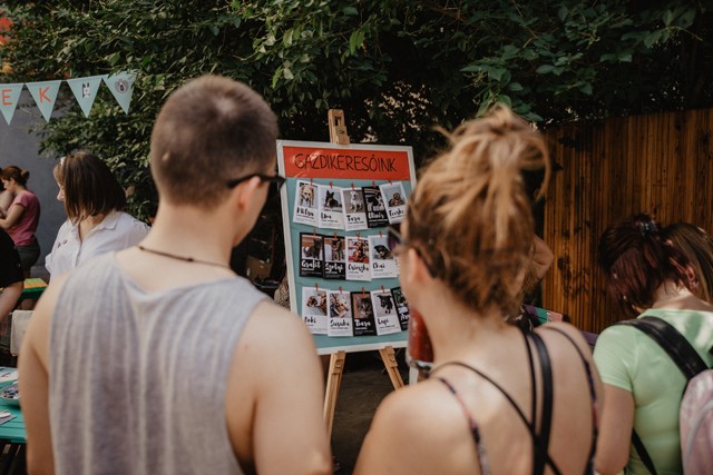 Menj koncertre és ments meg egy örökbefogadásra váró kiskutyát