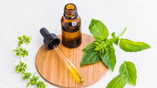 Egészség fillérekért: bazsalikom