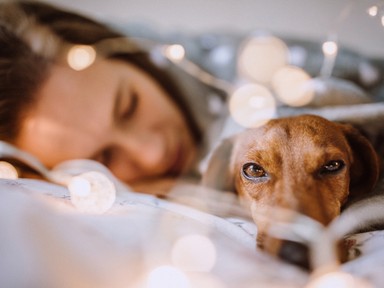 Erre a betegségre hajlamos a Kos, a Nyilas és az Oroszlán