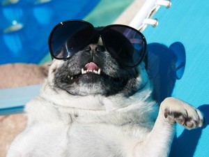 Szakértő orvost kérdeztünk: meddig tart ki a nyáron begyűjtött D-vitamin?