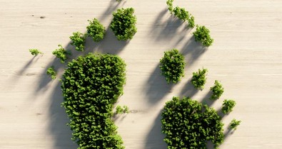 Tippek a hétköznapokra: így csökkentsd az ökológiai lábnyomod!