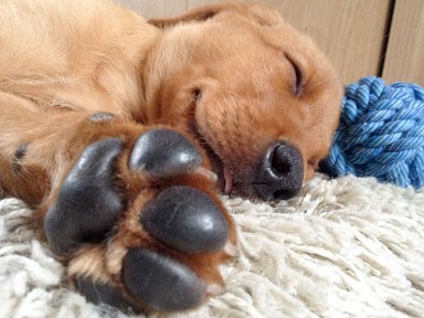 Csak egyetlen dolog, amitől sokkal jobban fogsz aludni!