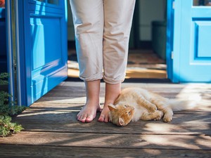 Megnyitja a bőség kapuját: ezt a filléres dolgot tedd az ablakba vagy az ajtó közelébe, és elönti a szerencse a házat