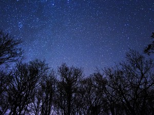 Itt az Újhold, és vonzza a sikereket