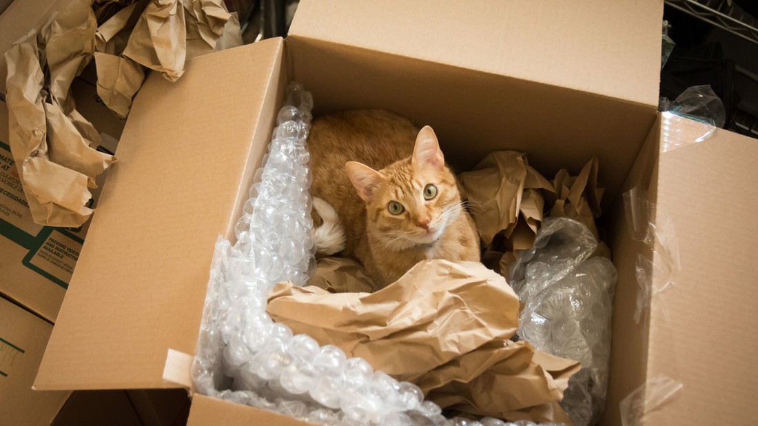 kulfoldre-koltozes-glamour