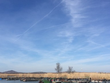 Eke Angéla imádja a természetet és ezt mai szettje is tökéletesen tükrözi