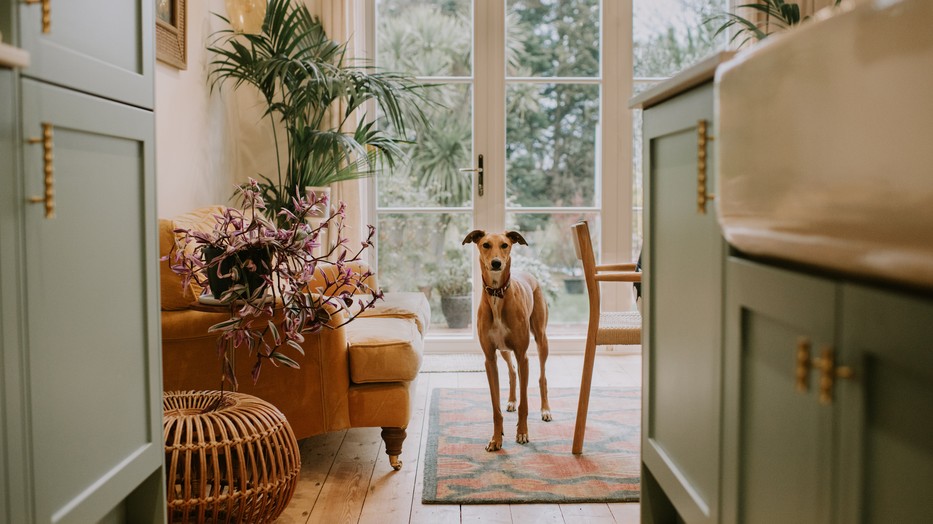 Te mennyire vagy tudatos lakberendező? Less el pár trükköt a profiktól!