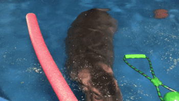 5+1 nyári sport az aktív kikapcsolódás szerelmeseinek