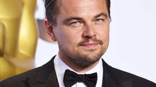 Leonardo DiCaprio Oscarjától megőrültek az emberek, ezt a ronda pulcsit is elkapkodták