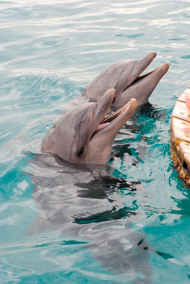 Egész évben napsütés - Izraelbe egyszer el kell menned