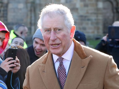 Károly királynak megemlítették Harry herceget: az uralkodó egyetlen szóval reagált rá