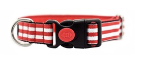 Kutyákra szabja a divatot!