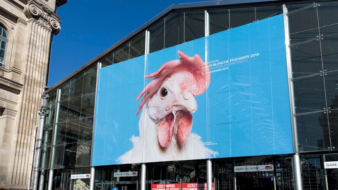 Szalai Dániel fotográfus már első iskolai projektjével nemzetközi visszhangot váltott ki