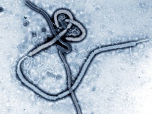Meddig terjed az Ebola?