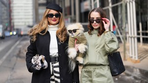  A gazdiknak kell megtanulniuk „kutyául”, hogy ne csak a kutya tanuljon meg „emberül”