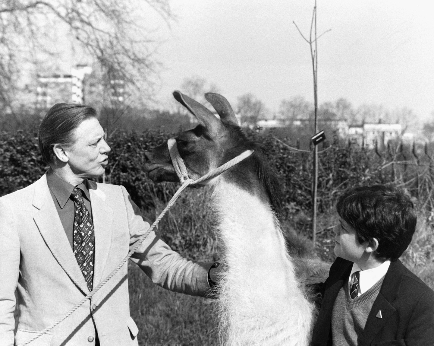 David Attenborough a londoni állatkertben mutatja meg Charlie-t, a lámát a 12 éves Patrick Flynn-nek, egy oktatási program nyertesének 1980-ban