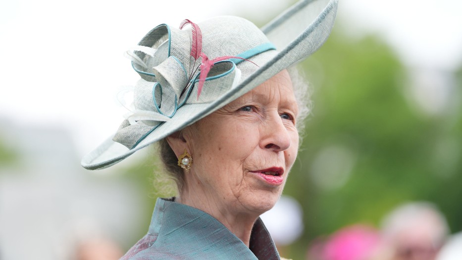 Anna hercegnő portréjától egyszerűen elállt a szavunk