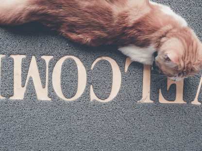 Le akarod nyűgőzni a vendégeket? Íme a legviccesebb lábtörlők