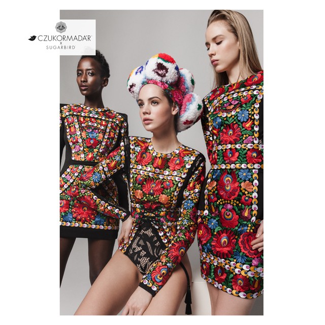 A Sugarbird új kollekciója igazi divatcsemege, ez itt a Czukormadár