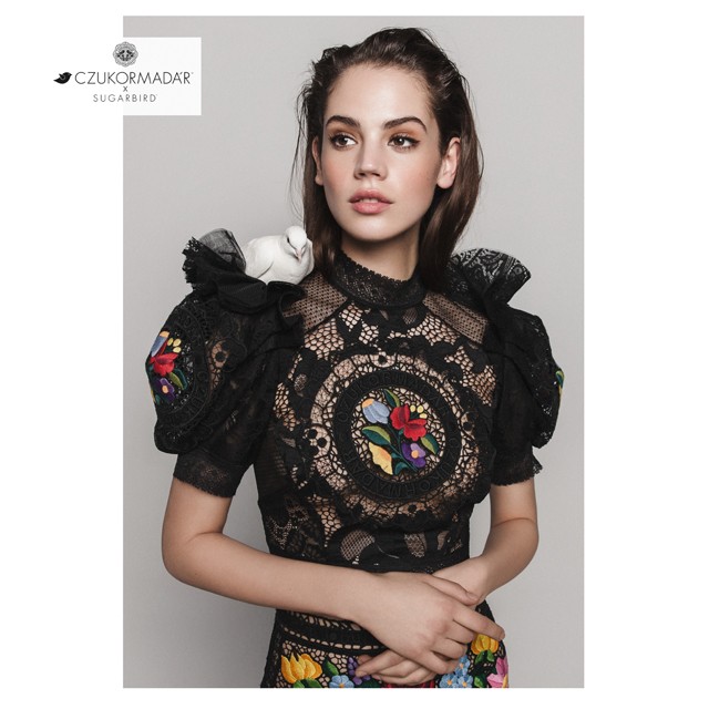 A Sugarbird új kollekciója igazi divatcsemege, ez itt a Czukormadár