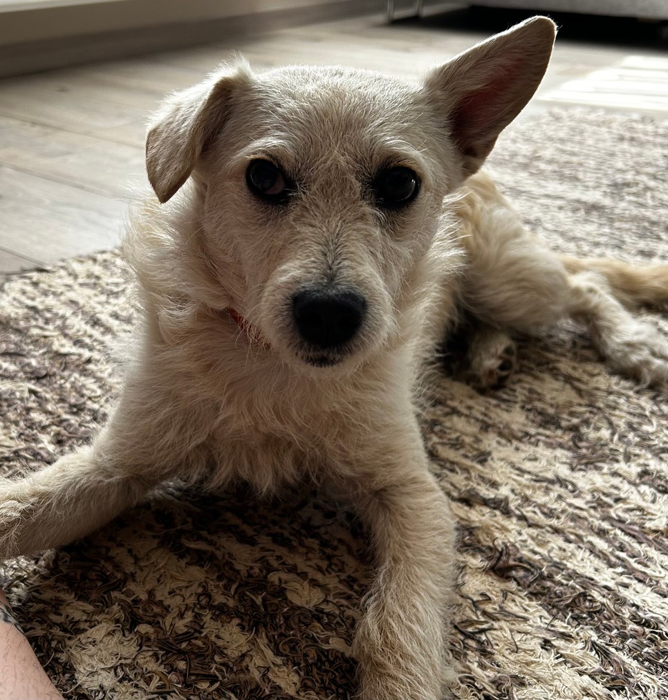 A legcukibb kölyök: Kókusz - Fulcz Virág