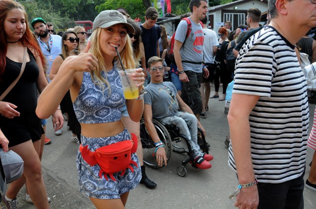 Fenyvesi Zoltán Sziget