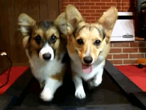 A tökéletes nyári formáért: ne csak sportolj, a műkajákat is felejtsd el!