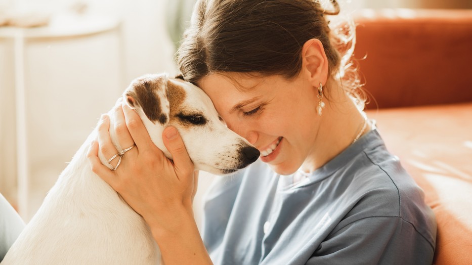 Ők akkor is nagyon jól érzik magukat, ha otthon hagyod őket, amíg dolgozol