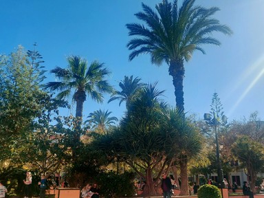 Fekete Judit: Néztük a tengert, az embereket, és leesett, hogy mit is csináltunk