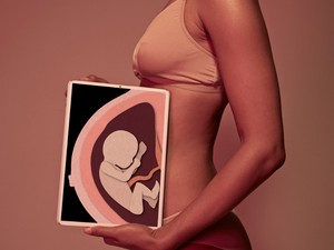 A méhlepény az emberi test csodája, mégis keveset tudunk róla