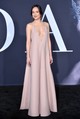 Dakota Johnson 2017-ben A sötét ötven árnyalata című film premierjén egy mélyen dekoltált, púderrózsaszín Valentino kreációban vonzotta magára a tekinteteket. 