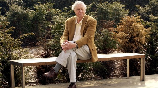 Az amatőr természetbúvártól Sir David Attenborough-ig: ők a televíziós ismeretterjesztés nagyágyúi