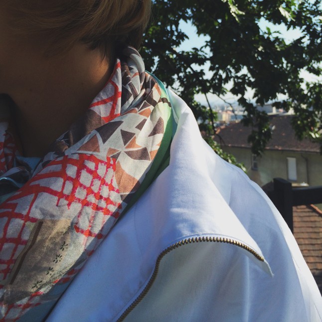 Trendi kutyák, sikkes gazdi