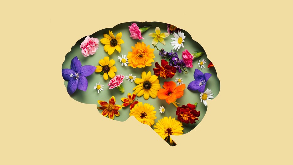 A csend igazi regeneráció az agy és az idegrendszer számára, amit megéri napi szinten biztosítanunk számára