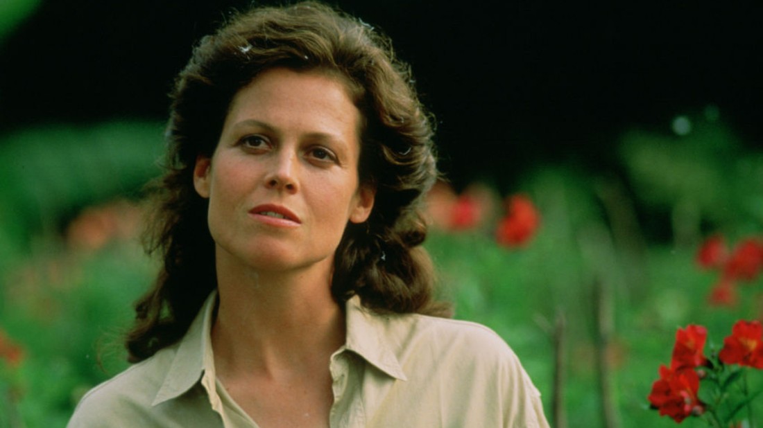 Dian Fossey életéről film is készült Gorillák a ködben címmel, Sigourney Weaver főszereplésével.
