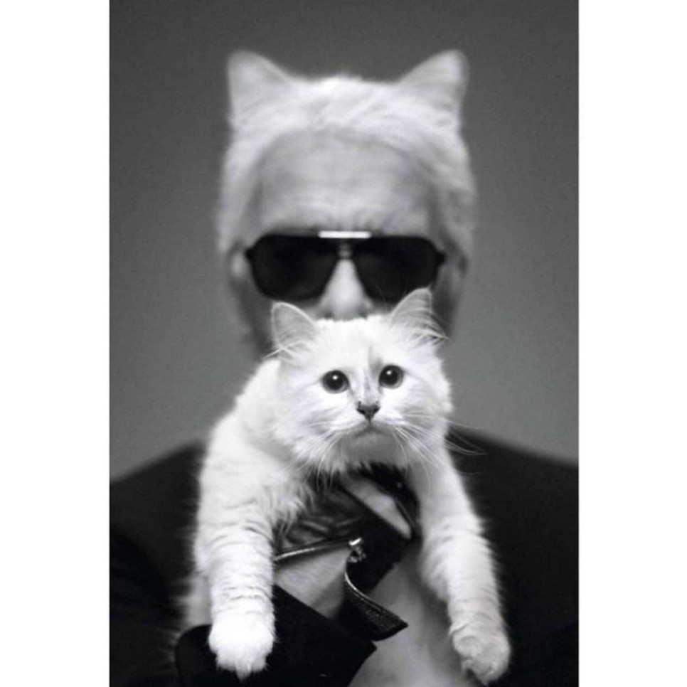 Kalr Lagerfeld és Choupette