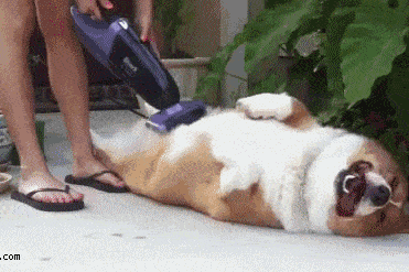 GLAMOURSZKÓP 2015. március