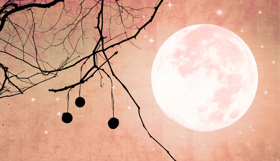 Beköszöntött a Skorpió Újhold