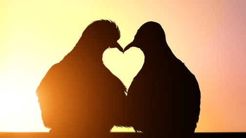 5 tipp, hogy újra fellángoljon a szerelem köztetek